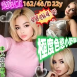 台北定點茶-Sophia