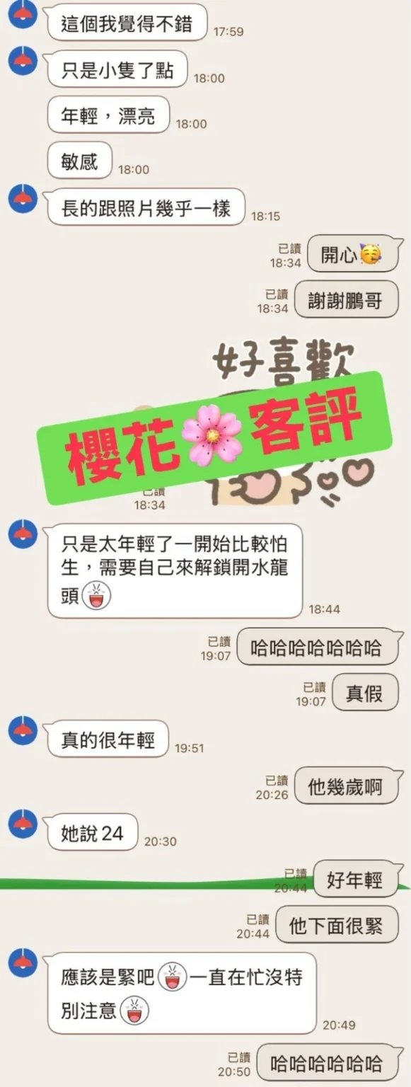 新北定點茶-櫻花：圖片