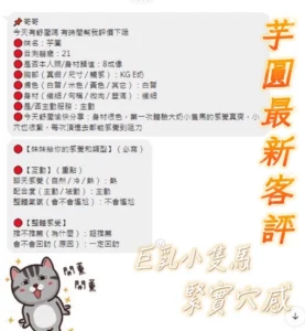 台南定點茶-芋圓：圖片