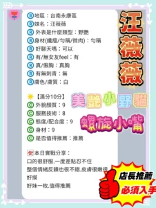 台南定點茶-汪薇薇：圖片