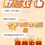 台中定點茶-野結衣：圖片